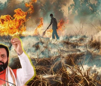 Screenshot 2025-11-16 211548