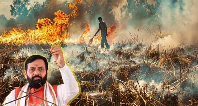 Screenshot 2025-11-16 211548